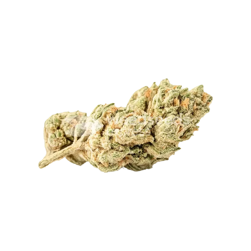 Zkittlez Auto Bud