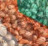 Best Strains to Grow in California (2026): An Expert Grower's Guide