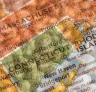 Best Strains to Grow in Connecticut (2026): An Expert Grower's Guide