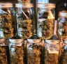 Wie man ausgehärtete Buds für langfristige Frische und Potenz lagert (ohne dabei deine Terpene zu zerstören)