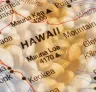 Best Strains to Grow in Hawaii (2026): An Expert Grower's Guide