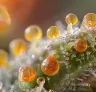 The Science of Strong Weed: 7 Proven Factors Affecting Cannabis Potency