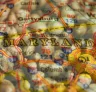 Best Strains to Grow in Maryland (2026): An Expert Grower's Guide