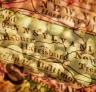 Best Strains to Grow in Pennsylvania (2026): An Expert Grower's Guide