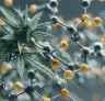 Studie: Wie Stickstoffdüngung den Cannabisanbau beeinflusst