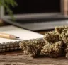 Top 8 Energizing Sativa Strains Perfect for Daytime Use and Creativity