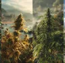 What Are Landrace Cannabis Strains and Why Are They Special?