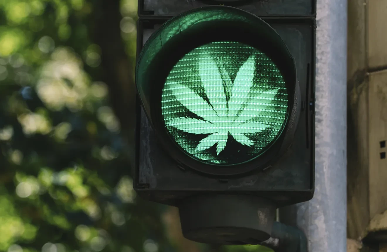 how to grow marijuana legally