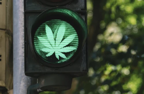 Is it legal to grow marijuana?