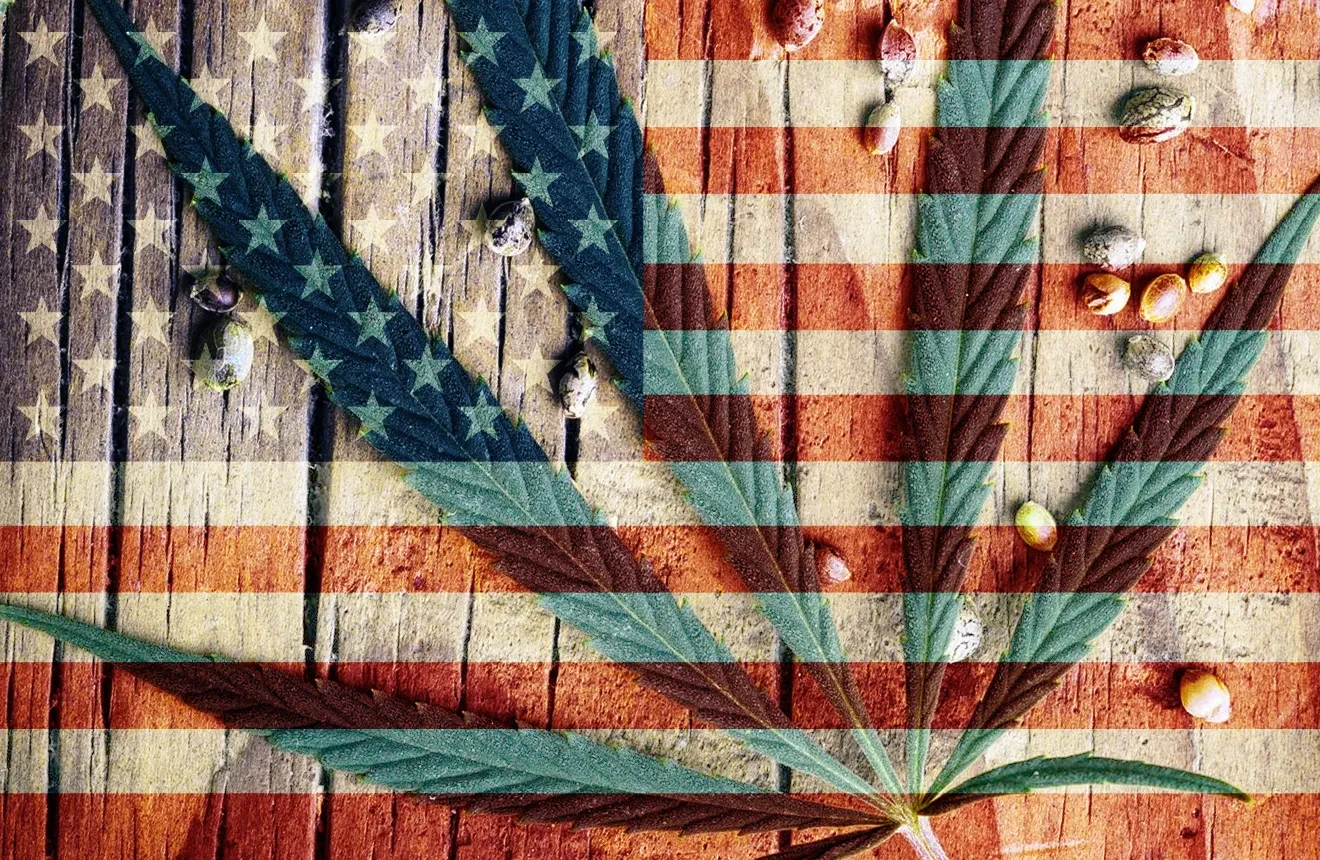 Top 20 marijuana seeds USA