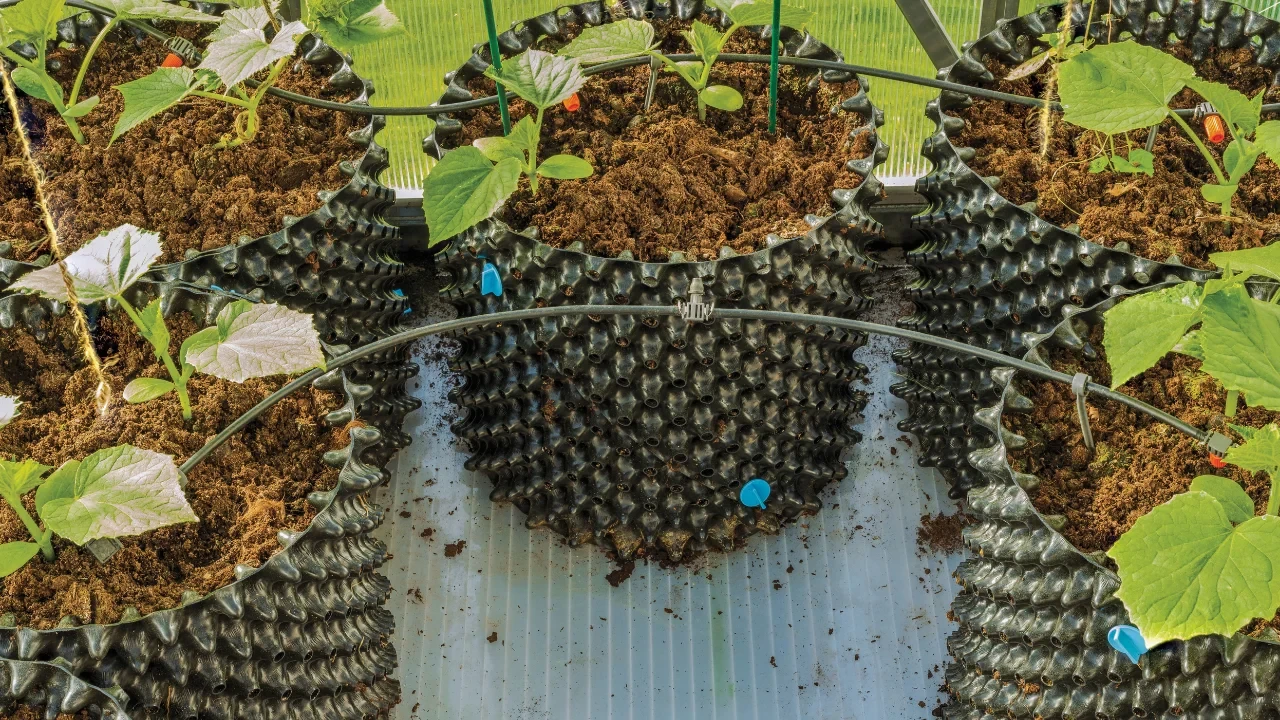 Air pots have openings in the sides to promote air and oxygen circulation like fabric pots. The increased drainage requires more frequent watering compared to solid plastic pots