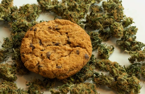 A closeup shot of a cookie and cannabis nugs