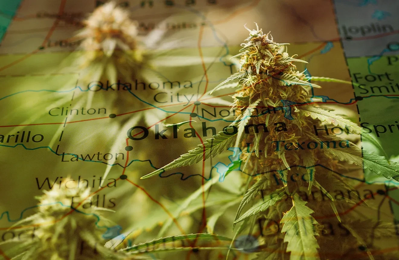 10 Best Strains To Grow in Oklahoma (2023 Update)