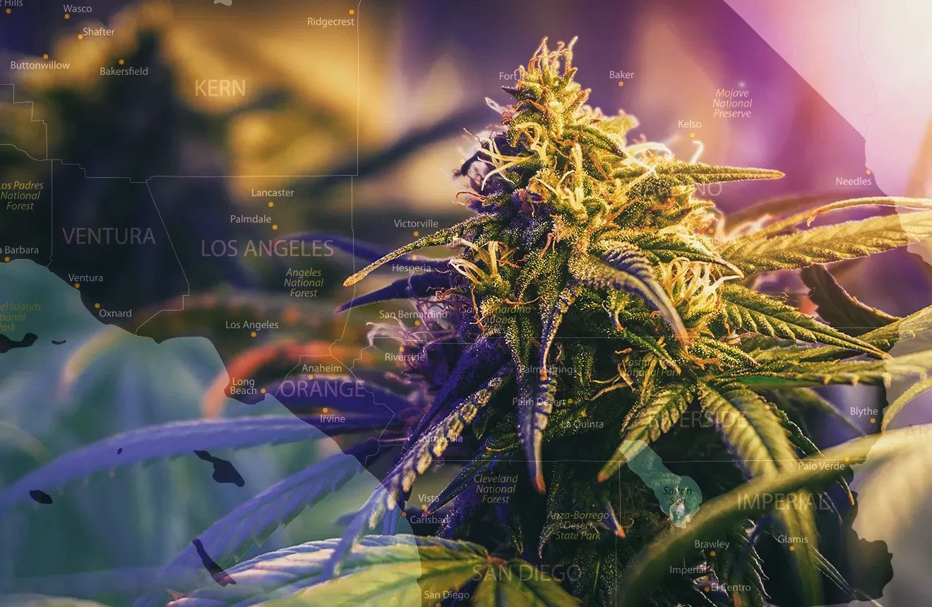 10 Best Strains To Grow in Southern California (2023 Update)