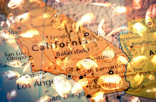 California Seed Bank Guide - 2023 UPDATE