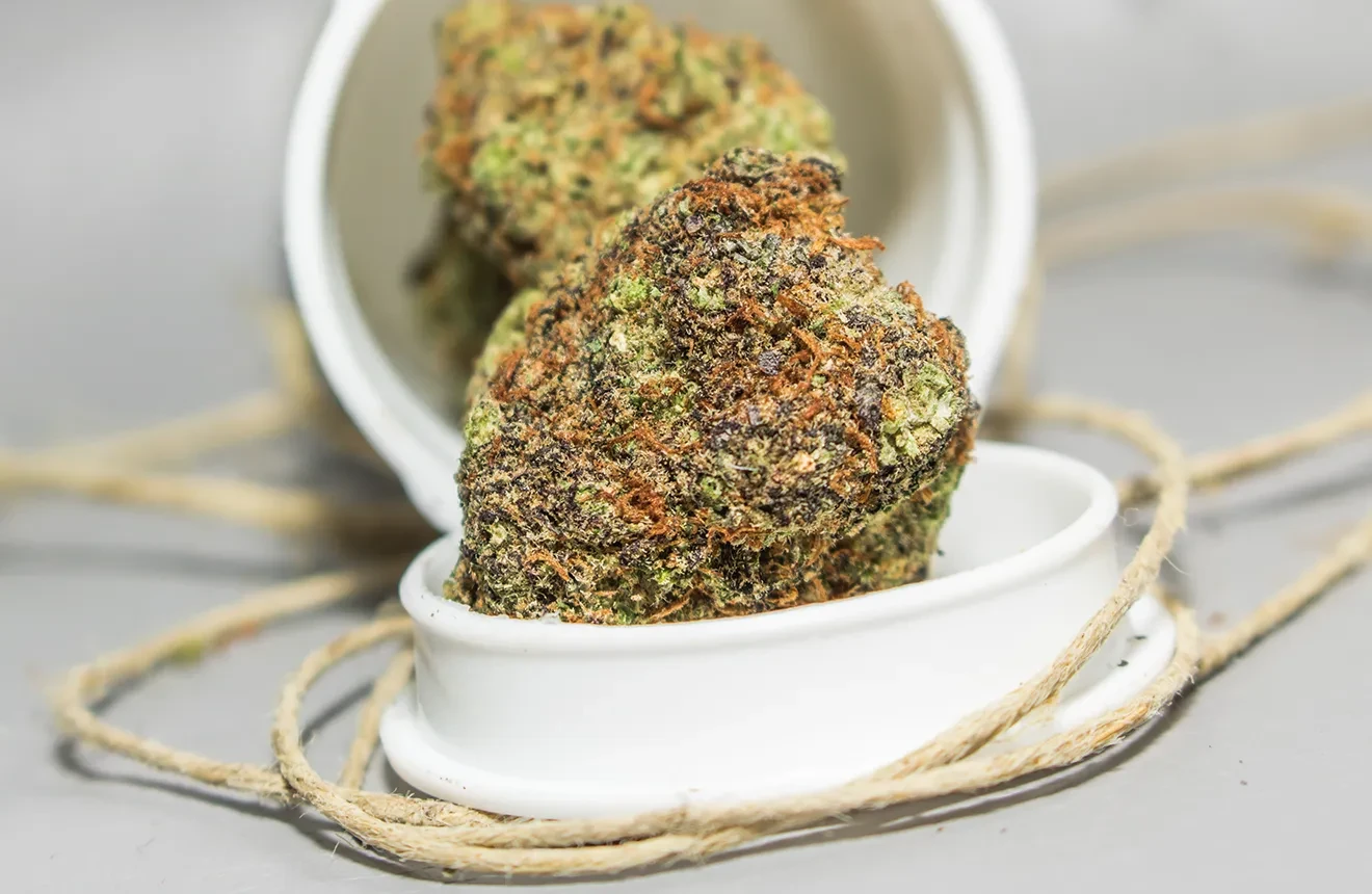 Top 5 Dense Weed Strains (With Rock Hard Buds)