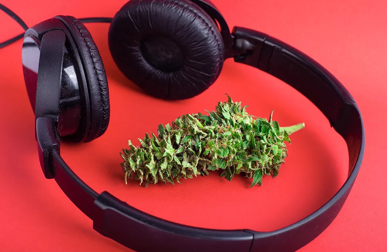 Music for Cannabis Plants