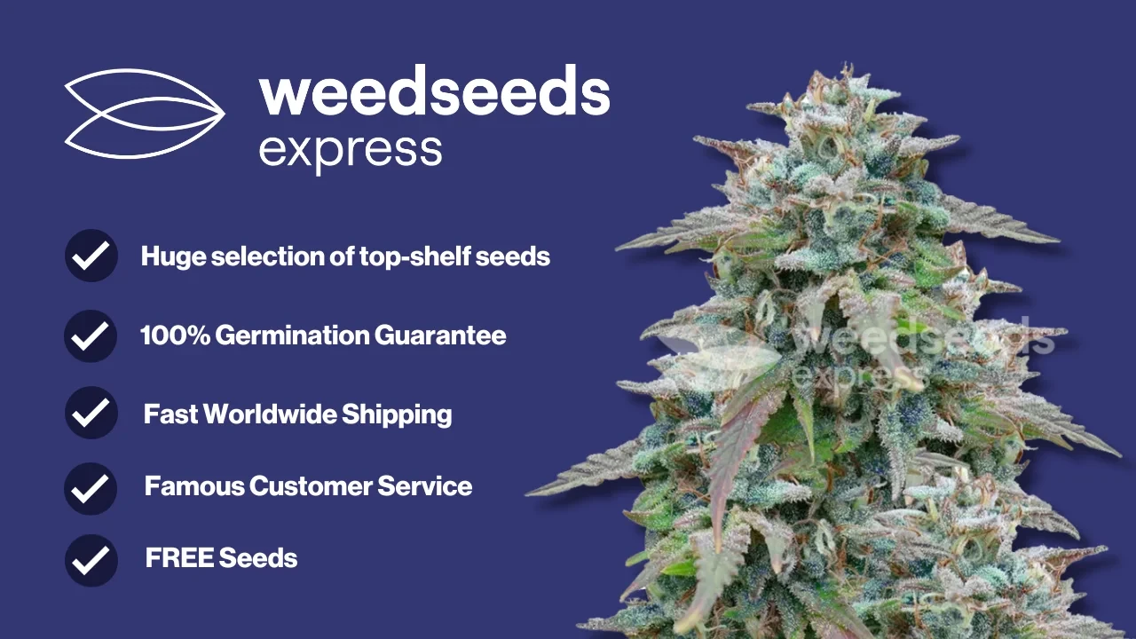 weedseedsexpress-why-buy
