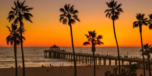 California Cannabis Seeds