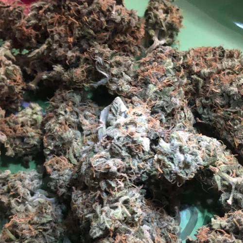 Santa Maria Auto Week 10
