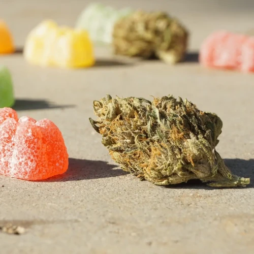Cannabis-Gummibärchen und feminisierte Cannabisblüten