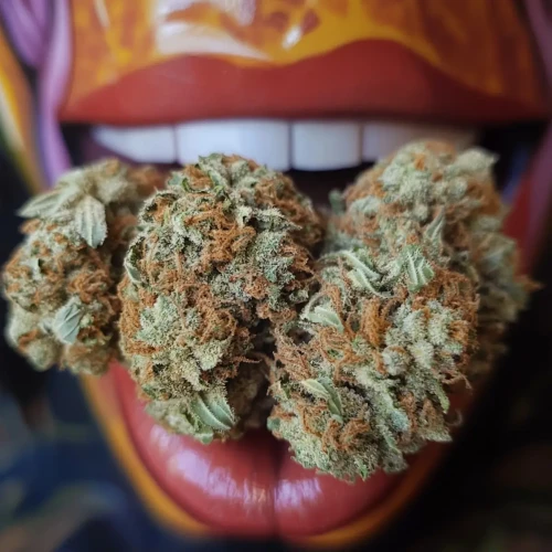 Cannabis-Aromen auf der Zunge