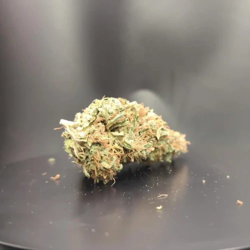 American Patriot Week 12