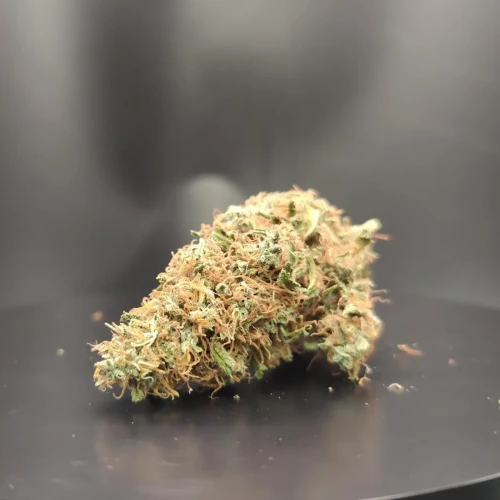 American Patriot Week 12