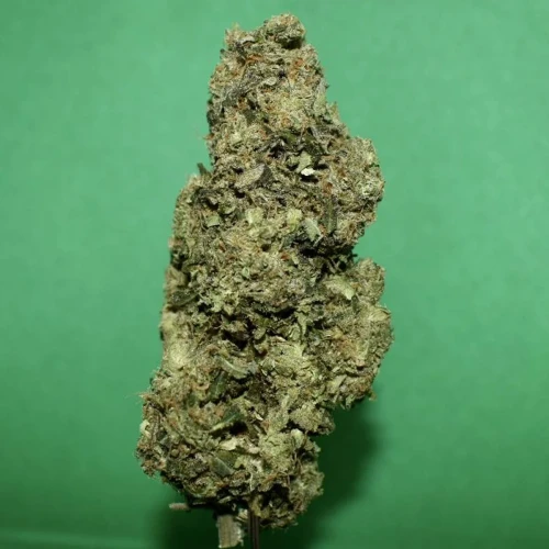 Fruity Pebbles Week 15