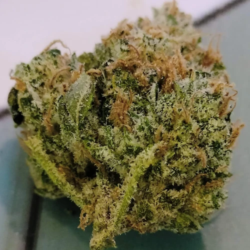 Granddaddy Purple Auto Week 13