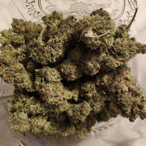 LSD Week 18
