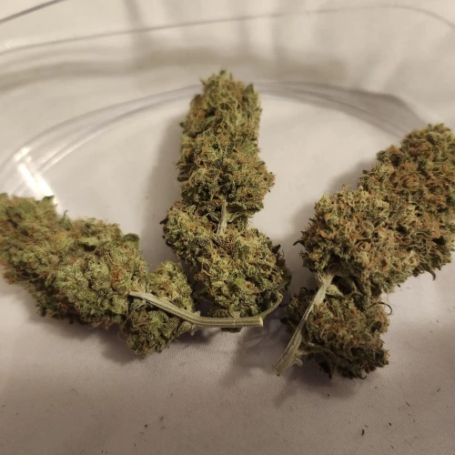 LSD Week 18