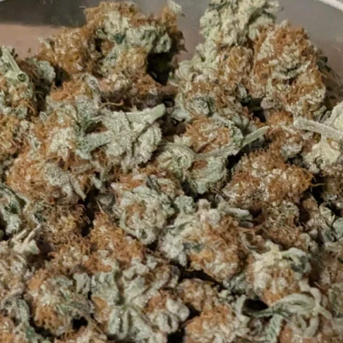Sweet Tooth Week 20