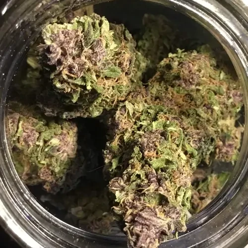 A closeup shot of pinkman goo nugs in a jar