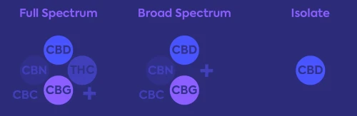 CBD Spectrum