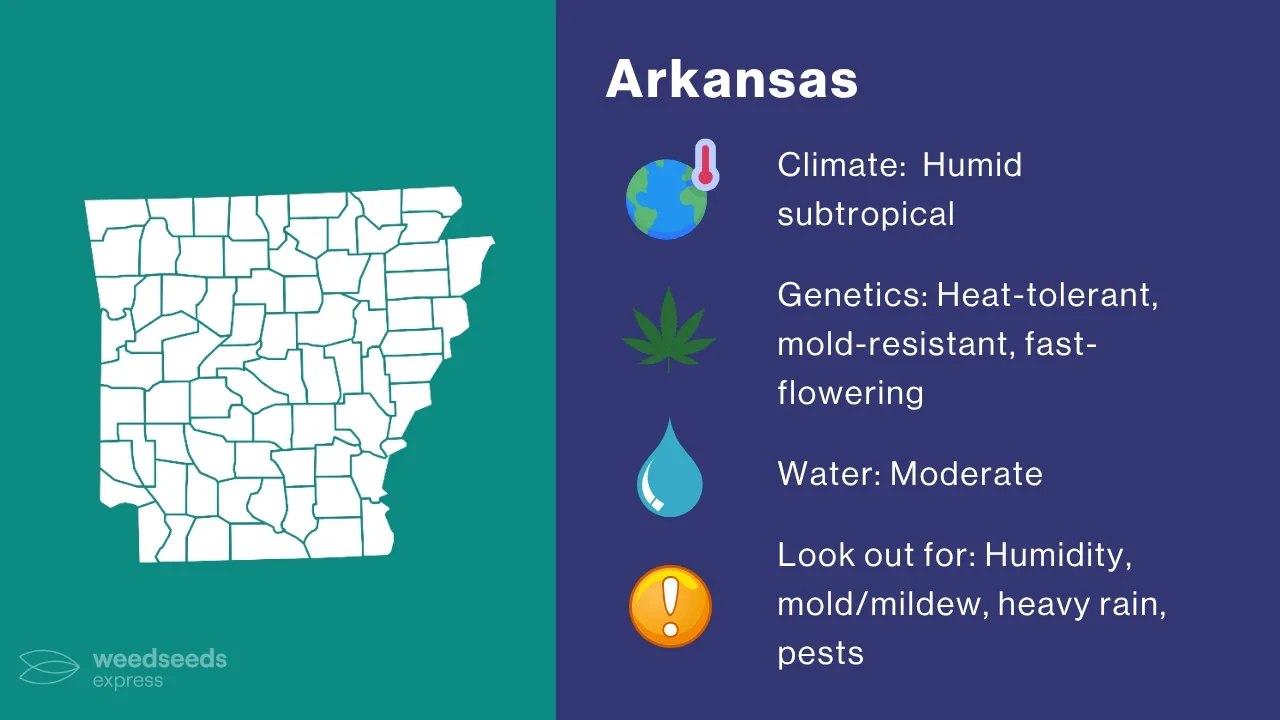 Arkansas Cannabis Climate