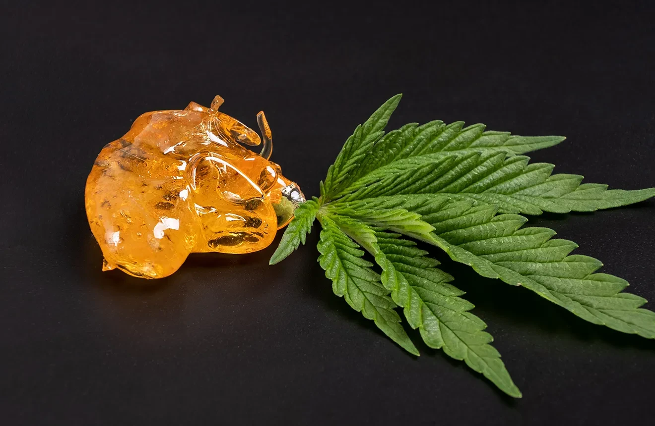 10 Best Weed Strains for Pressing Rosin