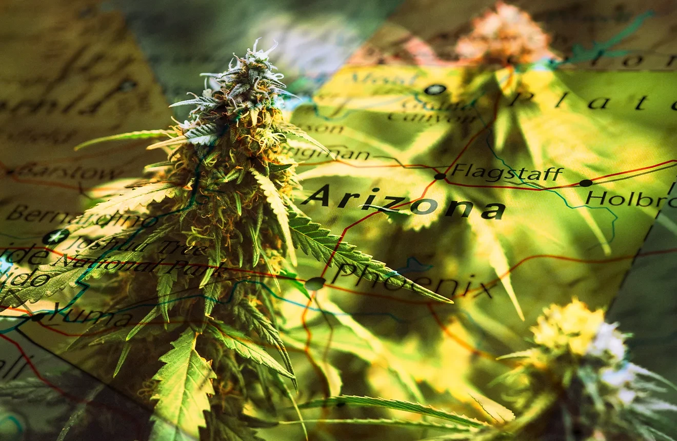 10 Best Cannabis Strains To Grow in Arizona