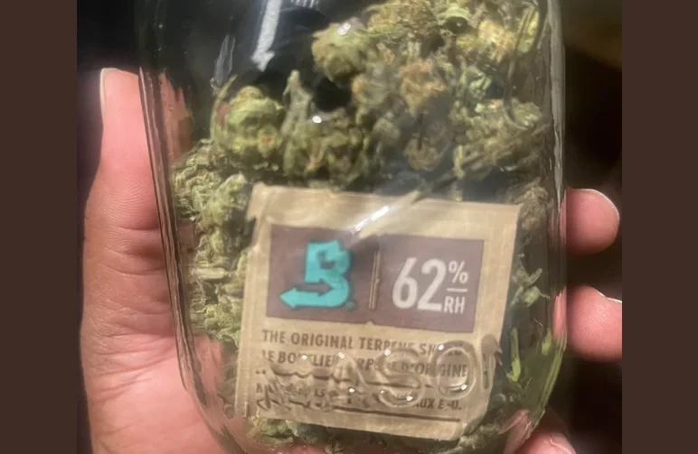 Vue rapprochée d’un sachet Boveda bidirectionnel de contrôle d’humidité à 62% à l’intérieur d’un bocal Mason en verre rempli de têtes de cannabis.