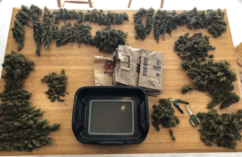Don’t Waste Your Trim: 5 Easy Ways to Use Sugar Leaves & Stems (That Actually Slap)
