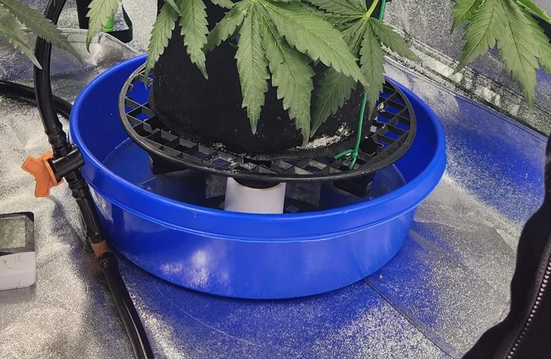 Close-up of a black fabric pot sitting on a plastic elevator grid inside a blue saucer, creating an air gap for drainage and preventing root rot.
