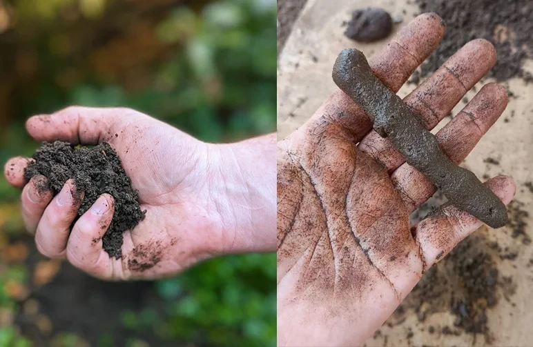 A side-by-side comparison of soil textures. The left shows rich, crumbly loam soil. The right shows heavy clay soil rolled into a long ribbon to demonstrate poor drainage.