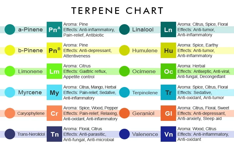 Eine farbenfrohe Cannabis-Terpen-Tabelle, die die Symbole, Aromen und medizinischen Effekte von 12 gängigen Terpenen zeigt, darunter Pinen, Limonen, Myrcen und Linalool.
