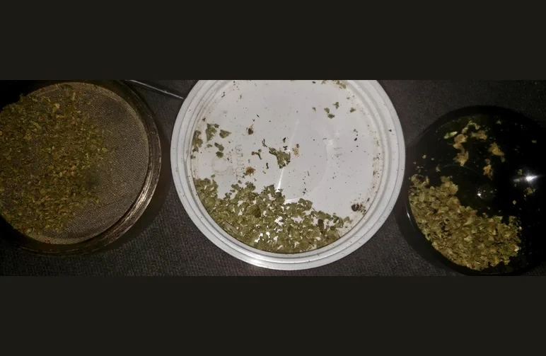 A three-way comparison of ground cannabis textures: a fine grind in a metal grinder, an ideal coarse grind in a white lid, and hand-broken cannabis pieces in a black container.