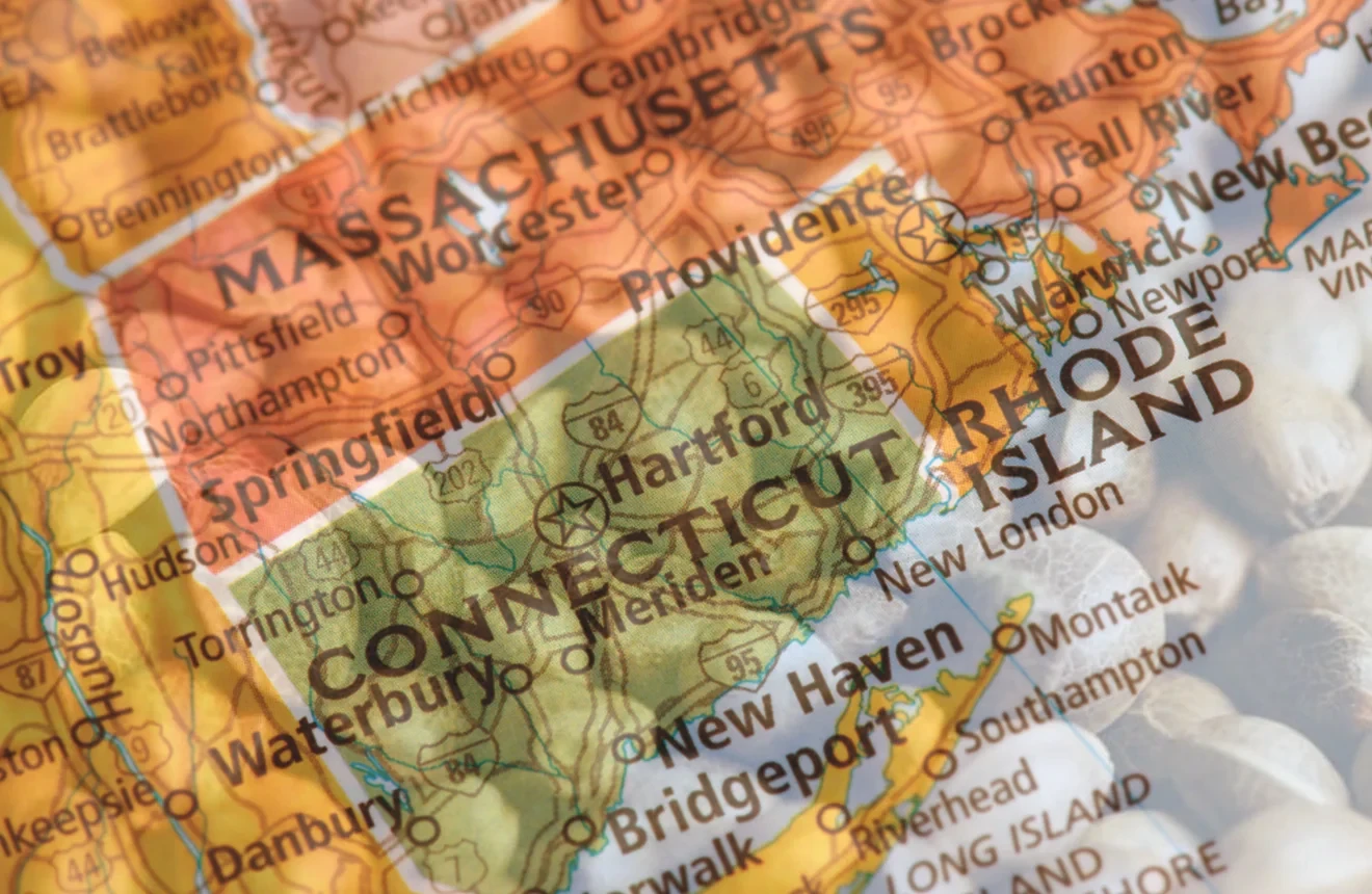 Best Strains to Grow in Connecticut (2026): An Expert Grower's Guide
