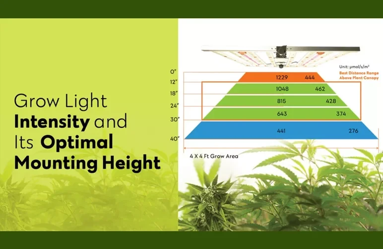 A technical diagram showing grow light intensity (PPFD) at different mounting heights over a 4x4 grow area. The chart shows that as the light moves from 40 inches to 12 inches above the plant canopy, the intensity increases from 441 to 1048 micromoles (µmol/s/m²), highlighting the optimal height for flowering cannabis.
