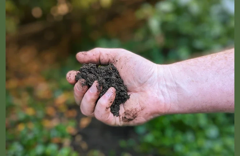 Eine Gärtnerhand führt den Quetschtest an dunkler, lehmiger Erde durch, um die ideale Feuchtigkeit und Struktur zu prüfen.