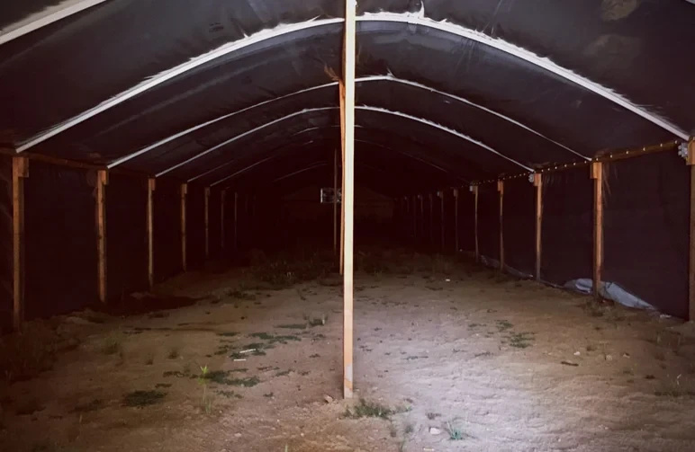 Interior view of a large hoop house greenhouse with black light-deprivation plastic film covering the frame to create total darkness.