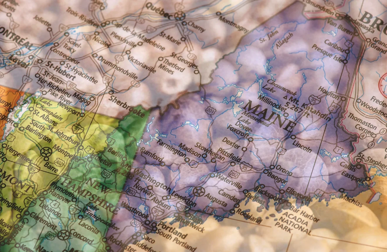 Best Strains to Grow in Maine (2026): An Expert Grower's Guide
