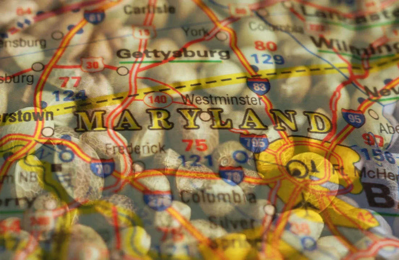 Best Strains to Grow in Maryland (2026): An Expert Grower's Guide